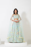 HERITAGE HUE LEHENGA SET WITH CRAFTED EMBROIDERY AND STUNNING NECKLINE