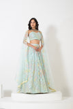 HERITAGE HUE LEHENGA SET WITH CRAFTED EMBROIDERY AND STUNNING NECKLINE