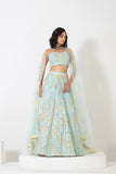 HERITAGE HUE LEHENGA SET WITH CRAFTED EMBROIDERY AND STUNNING NECKLINE