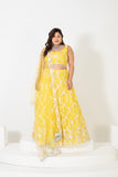 DREAMY DELIGHT LEHENGA SET WITH BOLD DESIGNS AND LIVELY PATTERNS