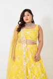 DREAMY DELIGHT LEHENGA SET WITH BOLD DESIGNS AND LIVELY PATTERNS