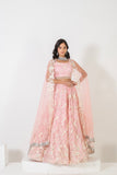 GLAMOURS GRACE LEHENGA SET WITH STYLISH NECLINE AND BORDER