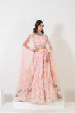 GLAMOURS GRACE LEHENGA SET WITH STYLISH NECLINE AND BORDER