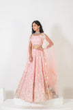 GLAMOURS GRACE LEHENGA SET WITH STYLISH NECLINE AND BORDER