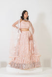 ETHEREAL ELEGANCE LEHENGA SET WITH LUXURIOUS FABRICS