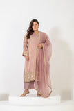 Elegant embroidered tissue shimmer suit set with embellished dupatta