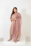 Elegant embroidered tissue shimmer suit set with embellished dupatta