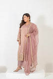 Elegant embroidered tissue shimmer suit set with embellished dupatta