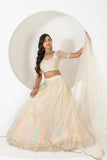 HEAVY EMBELLISHED LEHENGA SET WITH CLASSIC DESIGN AND INTRICATE EMBROIDERY