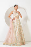 FESTIVE FRENZY LEHENGA SET WITH INTRICATE PATTERN AND EMBROIDERY