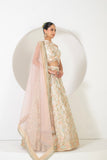 FESTIVE FRENZY LEHENGA SET WITH INTRICATE PATTERN AND EMBROIDERY