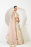 FESTIVE FRENZY LEHENGA SET WITH INTRICATE PATTERN AND EMBROIDERY