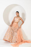 TRADITINOAL CHARM LEHENGA SET WITH INTRICATE CRAFTMANSHIP AND OPULENT DETAILS