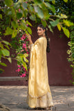 Golden Glow Viscose Organza Suit Set