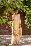 Golden Glow Viscose Organza Suit Set