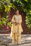 Golden Glow Viscose Organza Suit Set