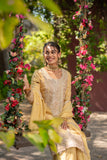 Golden Glow Viscose Organza Suit Set