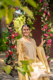Golden Glow Viscose Organza Suit Set