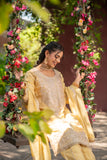 Golden Glow Viscose Organza Suit Set