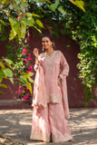 Blush Elegance Embroidered Suit Set
