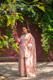 Blush Elegance Embroidered Suit Set