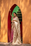 Festive Glow with Elegant Border Saree