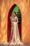 Festive Glow with Elegant Border Saree