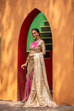 Festive Glow with Elegant Border Saree