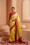 Glided glamour saree with metalic gold accent