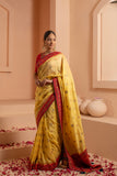 Glided glamour saree with metalic gold accent