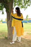 Pure cotton Pochampally double Ikkat weave kurta with contrast bottom and dupatta